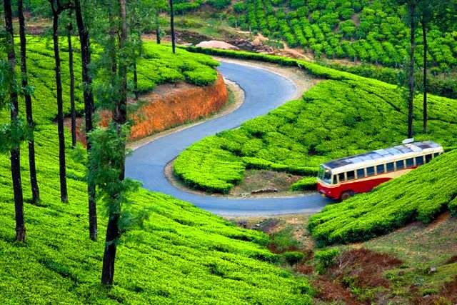 Munnar Hills Kerala